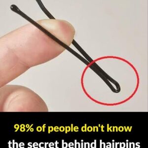 The Surprising Potential of Hairpins- 98% Of People Don’t Know The Secret Behind The Surprising Potential of Hairpins- 98% Of People Don’t Know The Secret Behind