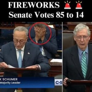 FIREWORKS AT THE CAPITOL FOR TRUMP FIREWORKS AT THE CAPITOL FOR TRUMP