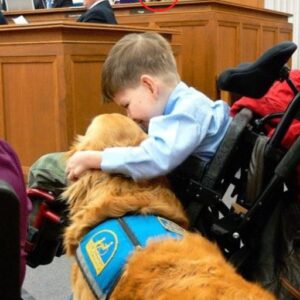 I Brought My Son and His Service Dog to a City Meeting and Changed Everything Unintentionally. I Brought My Son and His Service Dog to a City Meeting and Changed Everything Unintentionally.