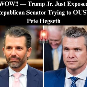 Donald Trump Jr. Condemns Former Aide as ‘Traitor’ After Hegseth Criticism