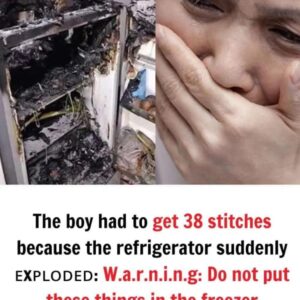 The boy had to get 38 stitches because the refrigerator suddenly ᴇxᴘʟᴏᴅᴇᴅ: W.a.r.n.i.n.g: Do not put these things in the freezer