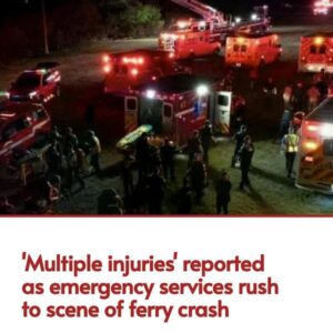 Clearwater ferry crash: ‘Multiple injuries’ reported as emergency services rush to scene Clearwater ferry crash: ‘Multiple injuries’ reported as emergency services rush to scene