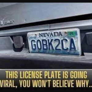 This License Plate Is Going Viral for Surprising Reason! This License Plate Is Going Viral for Surprising Reason!