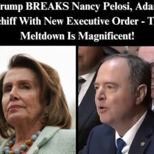 Trump’s New Pardoning Rush Stuns Pelosi and Schiff – “A Grotesque Display of Power” Trump’s New Pardoning Rush Stuns Pelosi and Schiff – “A Grotesque Display of Power”