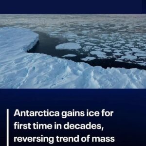 Antarctica sees first ice gain in decades Antarctica sees first ice gain in decades