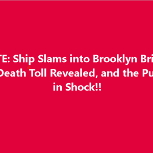 Authorities Reveal Cause of Ship Smashing Into Brooklyn Bridge Authorities Reveal Cause of Ship Smashing Into Brooklyn Bridge