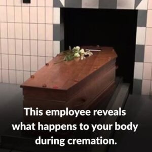 Understanding Cremation: What Really Happens During the Process Understanding Cremation: What Really Happens During the Process