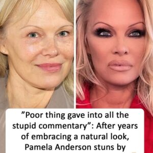 Pamela Anderson stuns fans after returning to her iconic ’90s look Pamela Anderson stuns fans after returning to her iconic ’90s look
