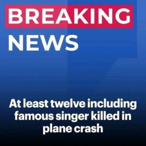 Twelve dead including famous singer in plane crash off remote island Twelve dead including famous singer in plane crash off remote island