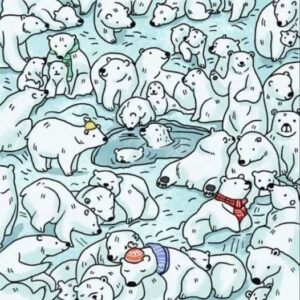Within 15 seconds, find the Seal hidden amid the Polar Bears. Within 15 seconds, find the Seal hidden amid the Polar Bears.