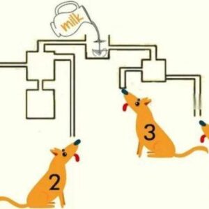 Within 8 Seconds, Tell Which Dog Will Drink The Milk First? Within 8 Seconds, Tell Which Dog Will Drink The Milk First?