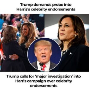 Trump calls for ‘major investigation’ into Harris campaign over celebrity endorsements Trump calls for ‘major investigation’ into Harris campaign over celebrity endorsements