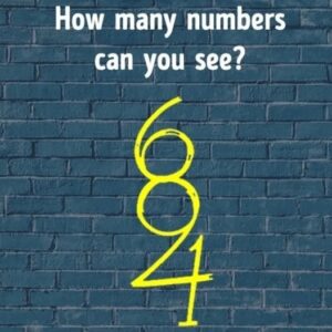 Illusion: How many numbers are in this puzzling image? Illusion: How many numbers are in this puzzling image?