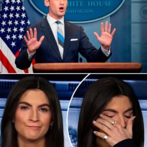 Stephen Miller FLIPS OUT and HUMILIATES Kaitlan Collins in the Oval Office – Stephen Miller FLIPS OUT and HUMILIATES Kaitlan Collins in the Oval Office –