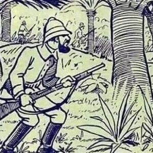 Only People With Sniper Vision Can Spot The Hidden Elephant In This Image Only People With Sniper Vision Can Spot The Hidden Elephant In This Image