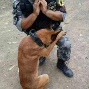 A STRANGER SNAPPED A PHOTO OF ME PRAYING WITH MY DOG, NOW THE WORLD THINKS THEY KNOW MY STORY A STRANGER SNAPPED A PHOTO OF ME PRAYING WITH MY DOG, NOW THE WORLD THINKS THEY KNOW MY STORY
