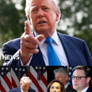 Donald Trump Proposes New Name For Veterans Day In Controversial Move Donald Trump Proposes New Name For Veterans Day In Controversial Move