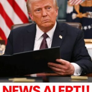 * NEWS ALERT** It’s done! He didn’t hesitate for long and made another decision! Donald Trump has signed the order * NEWS ALERT** It’s done! He didn’t hesitate for long and made another decision! Donald Trump has signed the order