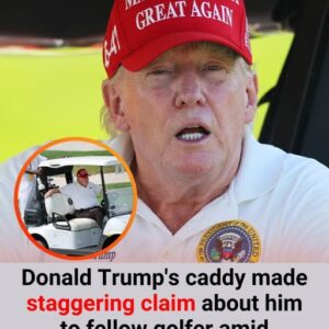 Donald Trump’s caddy made staggering claim Donald Trump’s caddy made staggering claim