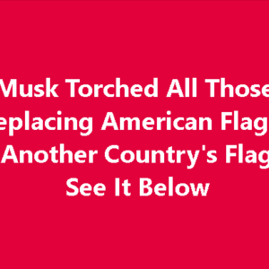 Elon Musk Has A Simple Solution For People Who Replace American Flag With Another Country’s Flag! See it Below Elon Musk Has A Simple Solution For People Who Replace American Flag With Another Country’s Flag! See it Below