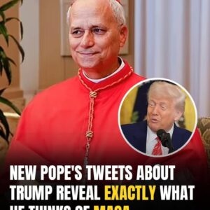 First American Pope Criticized Trump & Vance In Tweets — Now Leading The Church First American Pope Criticized Trump & Vance In Tweets — Now Leading The Church