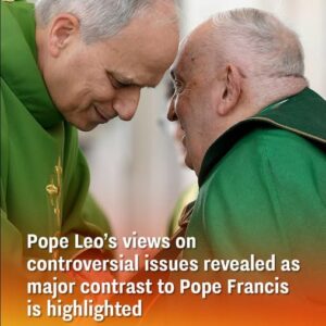 Pope Leo’s views on controversial issues revealed as major contrast to Pope Francis is highlighted Pope Leo’s views on controversial issues revealed as major contrast to Pope Francis is highlighted
