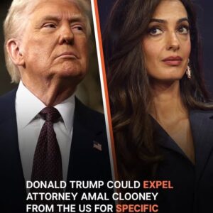 Amal Clooney at Risk of US Entry