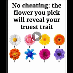 Flower Uncovers Secret Aspects of Your Personality Flower Uncovers Secret Aspects of Your Personality