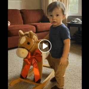 My Ex-Husband Gave Our Child a Rocking Horse as a Gift—What I Discovered Inside Led Me to Call My Lawyer My Ex-Husband Gave Our Child a Rocking Horse as a Gift—What I Discovered Inside Led Me to Call My Lawyer