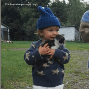 Healing story: My toddler found a kitten on the farm—and what was tied around its neck changed everything Healing story: My toddler found a kitten on the farm—and what was tied around its neck changed everything