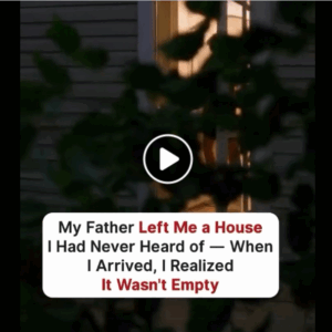 My Late Father Left Me a House, but the Woman Living There Revealed a Secret That Changed Everything — Story of the Day My Late Father Left Me a House, but the Woman Living There Revealed a Secret That Changed Everything — Story of the Day