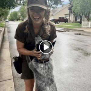 The Dog Who Led Me Back to Love and Memory The Dog Who Led Me Back to Love and Memory