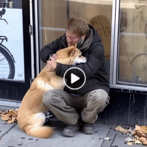 A Dog Waits Outside a Closed Store Every Day — Until a Curious Boy Follows Him A Dog Waits Outside a Closed Store Every Day — Until a Curious Boy Follows Him