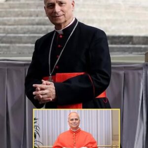 The First American Pope, What You Need to Know About Pope Leo XIV The First American Pope, What You Need to Know About Pope Leo XIV