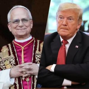 New Pope Leo XIV Has Long Opposed JD Vance and Trump on Immigration New Pope Leo XIV Has Long Opposed JD Vance and Trump on Immigration