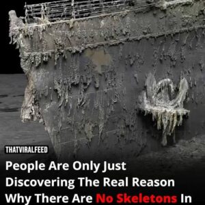 It baffled explorers who had found remains on much older shipwrecks 🤯