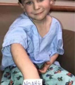 5-yr-old saves sister, dog from burning home then alerts rest of family 5-yr-old saves sister, dog from burning home then alerts rest of family