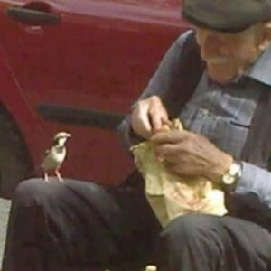 HE CAME EVERY DAY TO FEED THE SAME BIRD—UNTIL ONE DAY, THE BIRD BROUGHT SOMETHING BACK HE CAME EVERY DAY TO FEED THE SAME BIRD—UNTIL ONE DAY, THE BIRD BROUGHT SOMETHING BACK