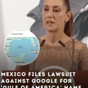 Mexico sues Google over ‘Gulf of America’ name change Mexico sues Google over ‘Gulf of America’ name change