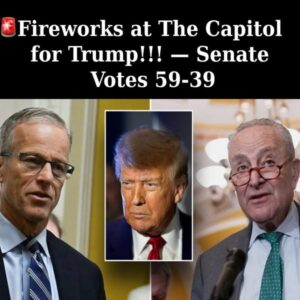 Senate Confirms Trump’s Ambassadorial Appointments to the UK, Turkey, and Italy Senate Confirms Trump’s Ambassadorial Appointments to the UK, Turkey, and Italy