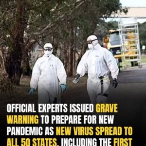 Experts Warn of Nationwide H5N1 Bird Flu Threat: Urgent Action Required Experts Warn of Nationwide H5N1 Bird Flu Threat: Urgent Action Required