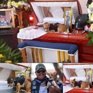 See what happened at the wake after this dog lost his owner… See more See what happened at the wake after this dog lost his owner… See more