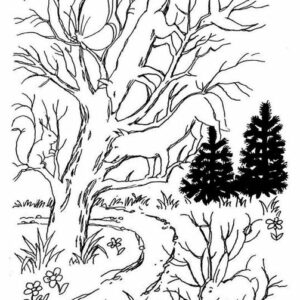 Can You Spot the Hidden Animals Can You Spot the Hidden Animals