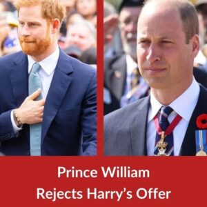 Prince William Rejects Prince Harry’s Offer To Return To Royal Duty Prince William Rejects Prince Harry’s Offer To Return To Royal Duty