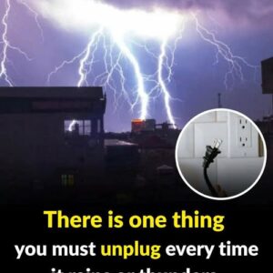 There is one thing you must unplug every time it rains or thunders. There is one thing you must unplug every time it rains or thunders.