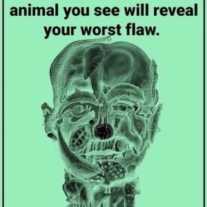 This visual test reveals your ‘worst flaw’ based on the first animal you see This visual test reveals your ‘worst flaw’ based on the first animal you see