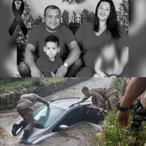 Father, mother and son are found dead in a car in a river, they were with their m…See more