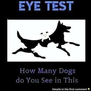 Can You Find All the Dogs in This Optical Illusion? The Number You Spot Reveals Your Mental Age – Try It Today! Can You Find All the Dogs in This Optical Illusion? The Number You Spot Reveals Your Mental Age – Try It Today!