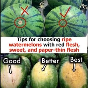 Easy ways to choose watermelons that are perfectly ripe, sweet, and thin-fleshed Easy ways to choose watermelons that are perfectly ripe, sweet, and thin-fleshed