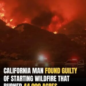 California Man Convicted Of Igniting Line Fire That Scorched 44,000 Acres